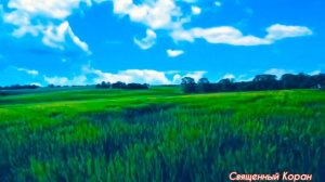 Рукия против сглаза красоты🍂