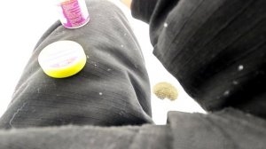 ВЕСЬ ОКУНЬ В ТРОСТНИКЕ НА МЕЛИ! Бурим, ищем, зимняя рыбалка 2024