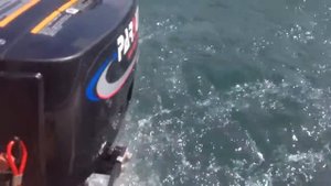 Парсун 2,6 , надувная лодка , Parsun 2,6 , Bestway 280 inflatable boat