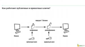 Биткоин для чайников. Урок 3. Публичные и приватные ключи