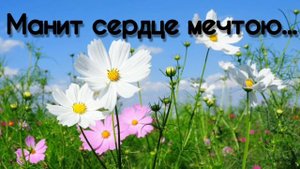 Манит сердце мечтою - христианская песня.
