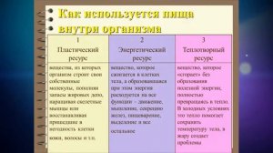 Лекция Движение и жизнь: Чем опасна гипокинезия для взрослых и детей / Разговор о правильном питани