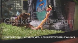 Содержание и уход Эублефаров.