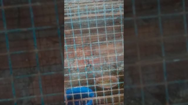 Java breading month time смотреть онлайн