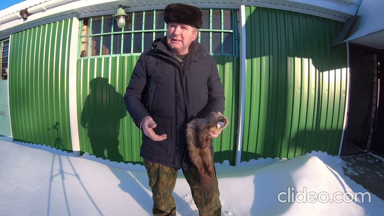 Очередной трофей. Куница. смотреть онлайн