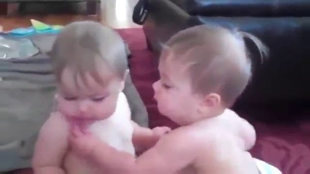 Малыши делят соску смотреть онлайн