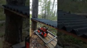 Зашеек, Пяозеро Домик. Медведя не было? ?