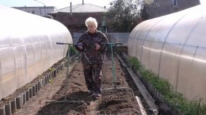 КАК ВЫБРАТЬ ЧУДО - ЛОПАТУ. Ольга Чернова.