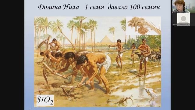 Серия мастер классов по организации предметной недели естественно научного цикла.