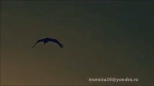 ЗАРИЯТ ЧАНКУРАЕВНА  -  АГЬ ТТУРУЛЛИВ, ТТУРУЛЛИВ
