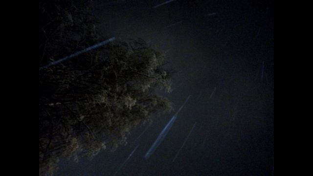 Powder