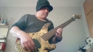 Playing Sandberg custom bass