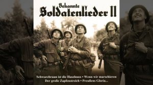 Schwarzbraun ist die Haselnuss