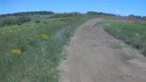 Пелагиада 2019