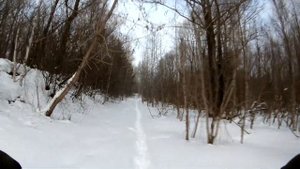 Мотобуксировщик/ мотособака с лыжным модулем и расширителями лыж по пухляку #Мотособака#Буранка