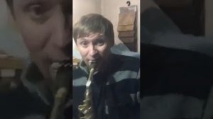 Стюардесса по имени Жанна SAX