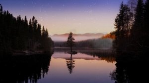 Иоганн Себастьян Бах / Лучшие песни / Классическая музыка