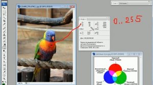 Урок   4  Понятие цвета в Фотошопе