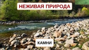 Живая и неживая природа, проект для 2 класса