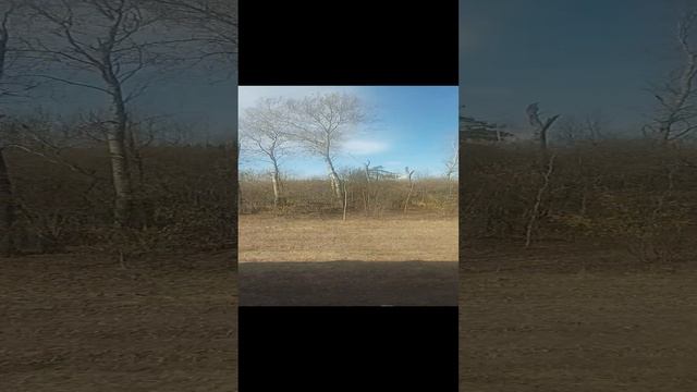 Поездка домой