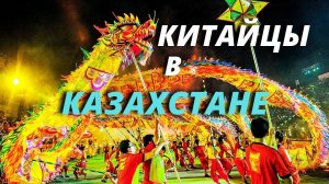 Китайский Новый год в России и СНГ | Наши иностранцы