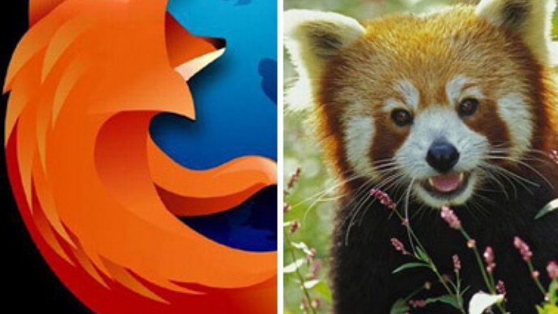 #2 Интересный факт - логотип браузера Firefox
