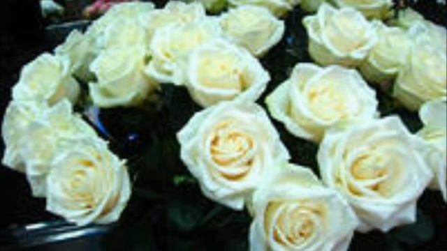 Белые розы.wmv смотреть онлайн