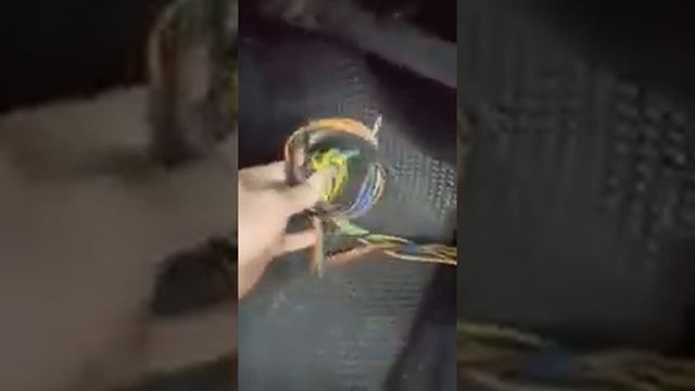 #Автоэлектрик от бога)))