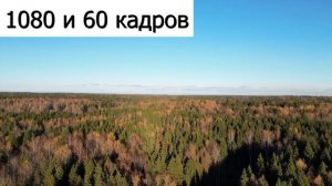 Dji mini 3 первый полет на дальность после прошивки FCC и 5.8