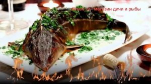 Как приготовить осетра свежемороженого пошаговый рецепт - Осётр в вине под горчично-сливочным соусо