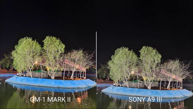 OM systems OM-1 Mark II VS Sony A9 III | NIGHT MODE | Camera Test