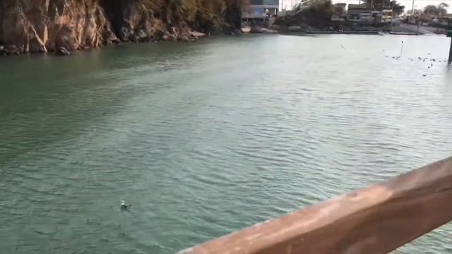 ЮЖНАЯ КОРЕЯ МОРЕ смотреть онлайн