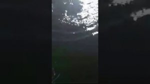 14 апреля 2020 г. Ловля сазана на реке Сунжа