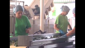 Новоминской консервный завод стал участником нацпроекта по производительности труда