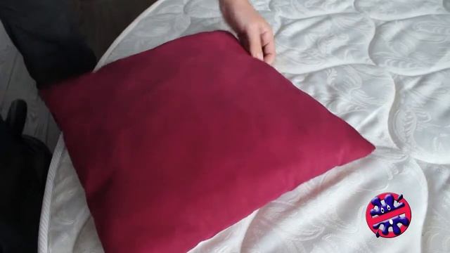 Хоум Эксперт. Химчистка подушек