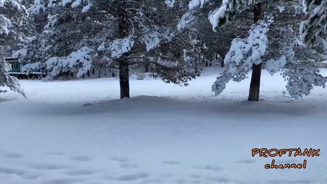 Зимняя сказка | турбаза Башиль | 4k смотреть онлайн