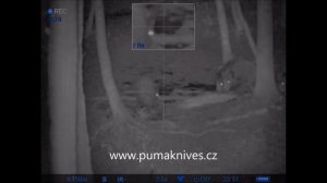 PULSAR DIGISIGHT N355 Ultra - lov divočáků - Hog Hunting - polowanie na dzika