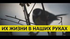 Их жизни в наших руках