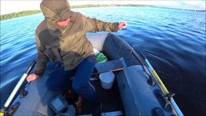 Сом на квок/ Июль 2020/ Волга/ Тест новой наживки.