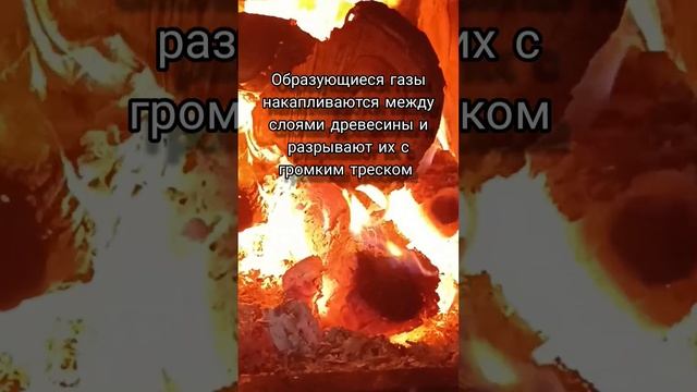 Почему трещат дрова? А вы знали? смотреть онлайн