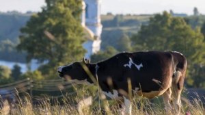 "ВОЛШЕБНЫЙ СОН"... (Старинный вальс Василия Агапкина (1884-1964) - Фото Сергея Пономарёва (Вятка))