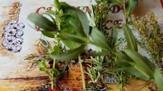 Bouquet garni/БУКЕТ из ПРЯНЫХ ТРАВ ДЛЯ ВАШИХ БЛЮД/ФРАНЦУЗСКАЯ И ПРОВАНСКАЯ КУХНЯ