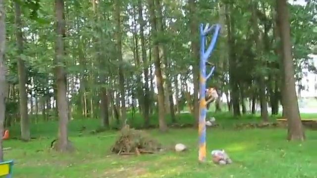 #3 Обзор лагеря Зубренок продолжение. Нарочь. Room Tour Цена путевки. The camp Zubrenok, Naroch lak смотреть онлайн