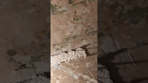 Подготовка пола под стяжку на первом этаже гостинки 18 кв