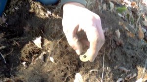 Коп в Приморье. ой ля ля.mp4