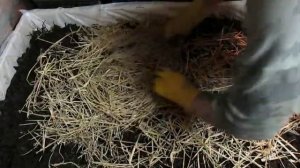 Червь "Старатель". 1000000 "Старателей" за зиму в подвале 15.