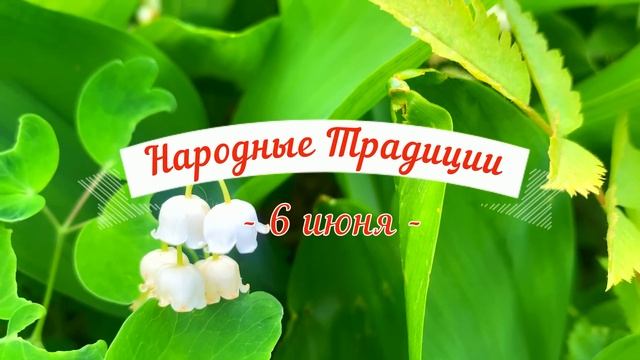6 июня Симеонов день. Что нельзя делать 6 июня. Народные традиции и приметы и суеверия