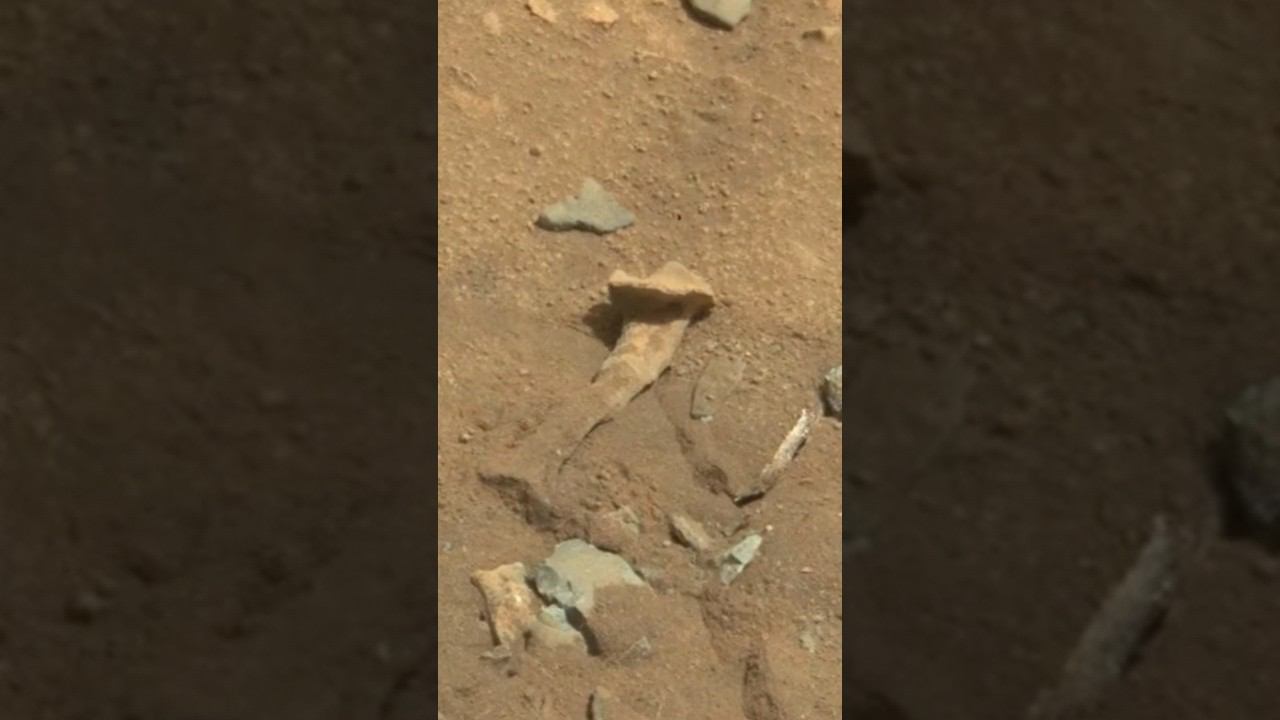 Кость на МАРСЕ? Необычный камень? смотреть онлайн