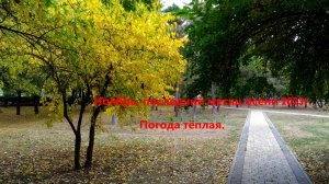 Погода осеняя балует в Крыму и очень тёплая..