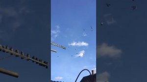 голуби Донбасса, Енакиево Олег Лепа